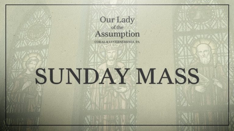 Sunday Mass August 14, 2022