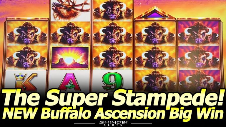 Super Stampede Mega Big Win! NEW Buffalo Ascension Slot Machine! 30 Minutes of Pain, 1 Minute of Joy