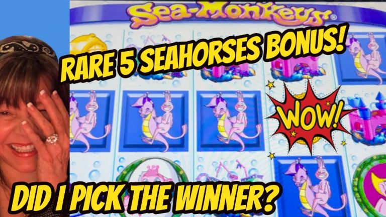 WOW! Rare 5 Seahorse Race! What Did It Pay?