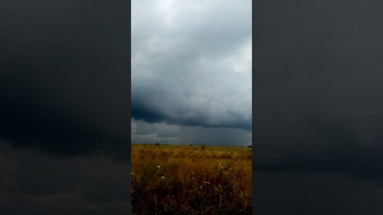 before a thunderstorm