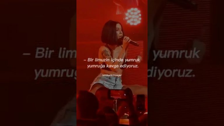 halsey – walls could talk (konser) çeviri