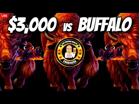 $3,000 vs Buffalo LIVE from Las Vegas