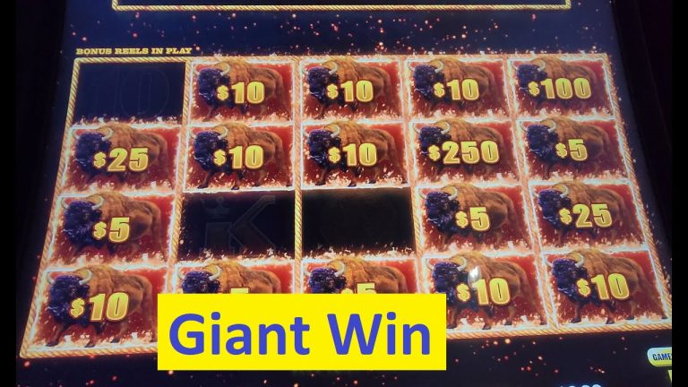 Buffalo Link Slot Giant Win! Aristocrat Game