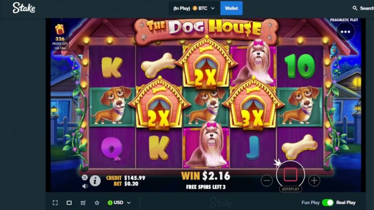 Dog House !! BIG WIN !! Low stakes slots