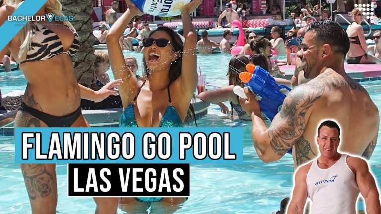 Go Pool Dayclub at The Flamingo Las Vegas Pool Parties