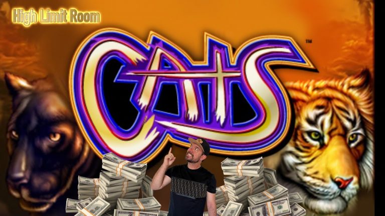 High Limit CATS at the Cosmo Live Slot Play at Casino