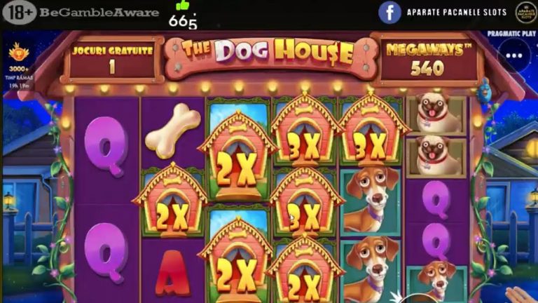 LUAM MAXWIN CU UN SPIN IN PLUS LA DOG?? Pacanistii 135 #aparate #pacanele #slots #casino