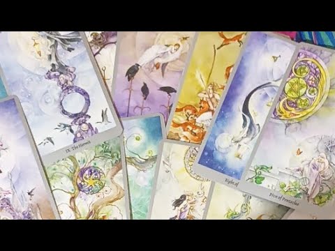 Live Tarot Donate For Priority