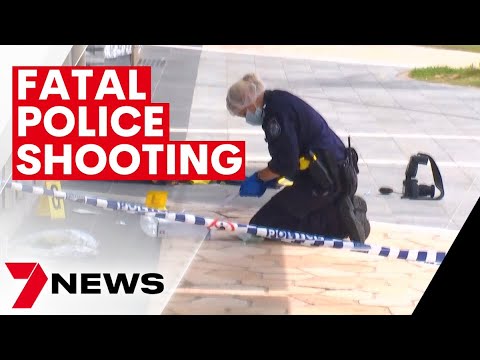 Man shot dead by police in Airlie Beach | 7NEWS