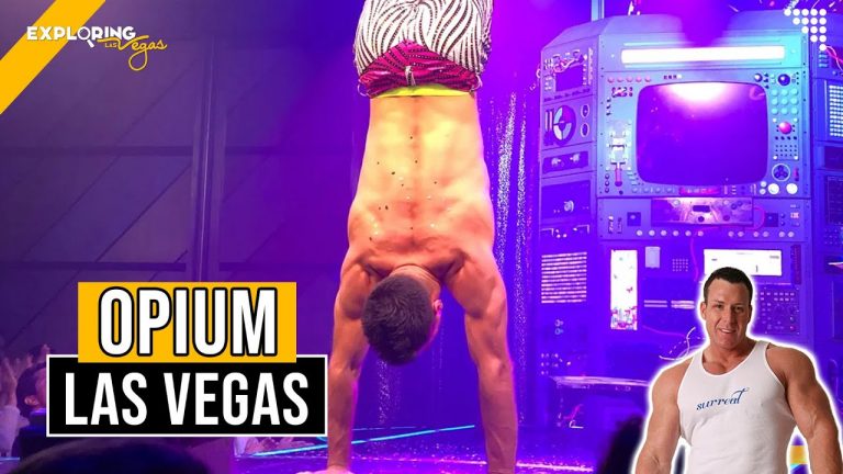 Opium Las Vegas Las Vegas Show