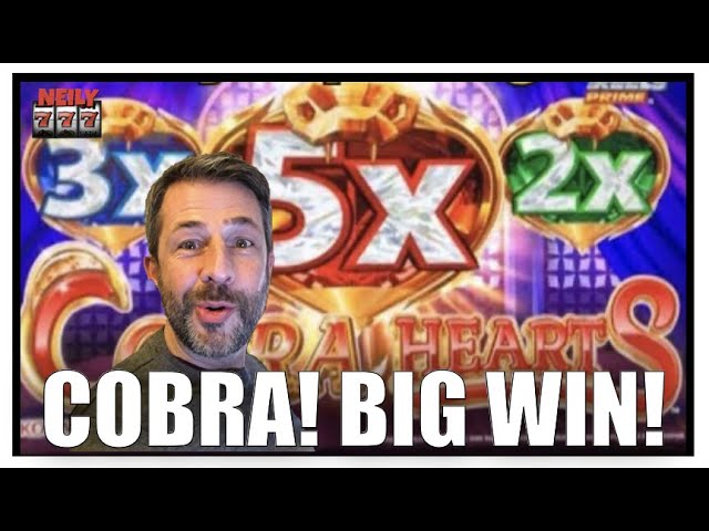 She yelled ‘COBRA!’ and it was a SUPER BIG WIN! Cobra Hearts slot machine!