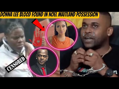 Wow! Mr Vegas Speak on StoneBoy Reggae Comments , Noel Maitland found with DonnaLee DNA + Charged