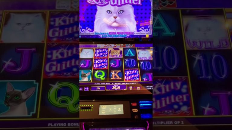 $9 Lines on Kitty Glitter Slot Machine Bonus!! (Part 3)