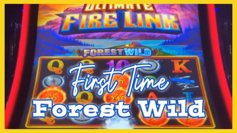 Back to Back BIG Wins on Ultimate Fire Link Forest Wild!