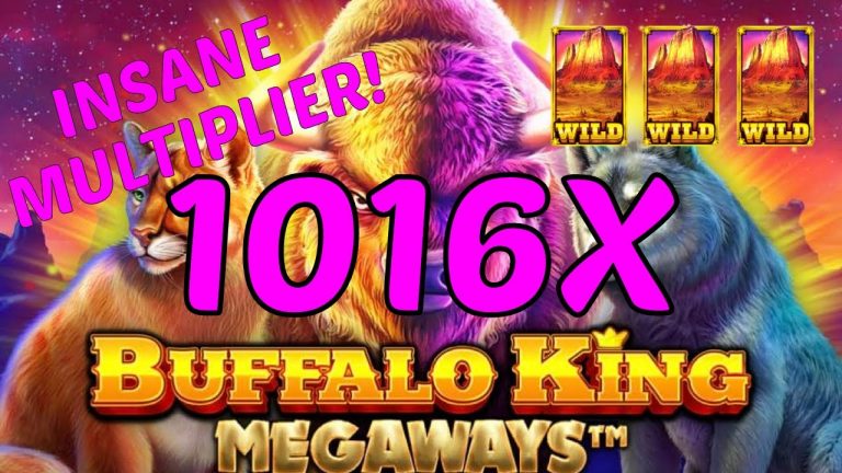 Casino wins – Buffalo King Megaways – 1016x – Bonus