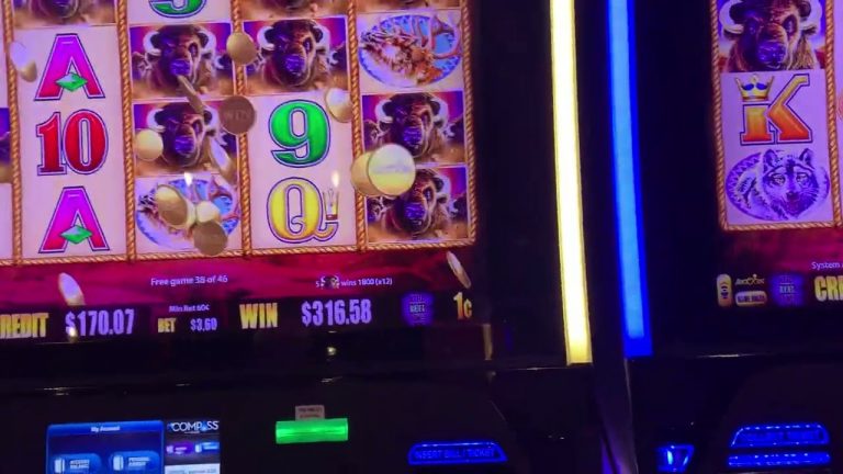 Huge Win on Buffalo Slot Machine