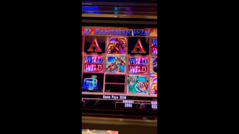 RARE JackpotALL 10 Panther Symbols! Cats Slot Machine!