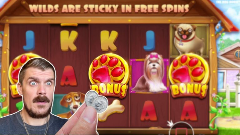 Winning BIG on The Dog House Slot with $0.20!