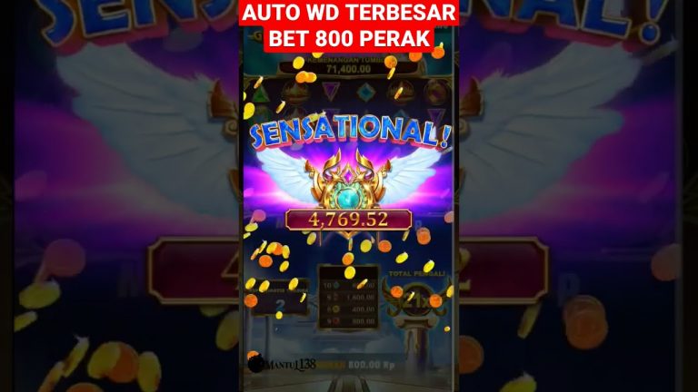 AUTO WD BESAR BET 800 PERAK #slotgacorhariini #polagacorolympushariini #maxwin #slot #slotgacor