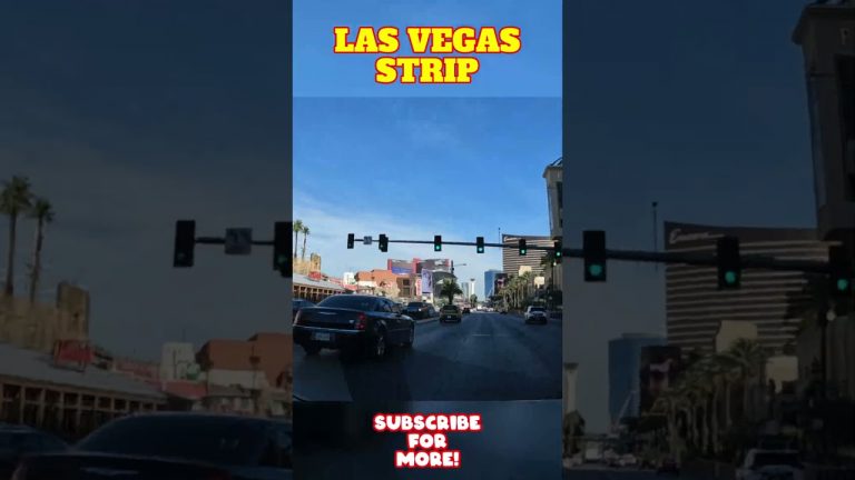 Las Vegas Strip Cruise