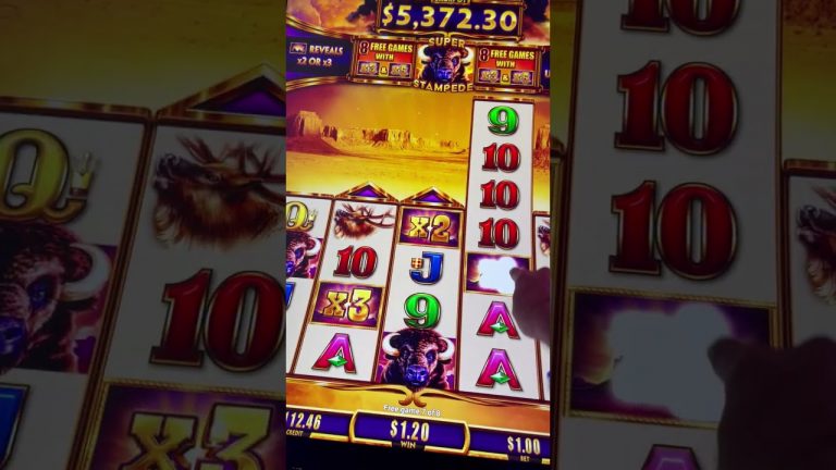 NEW Buffalo Ascension Bonus BIG WIN! #shorts