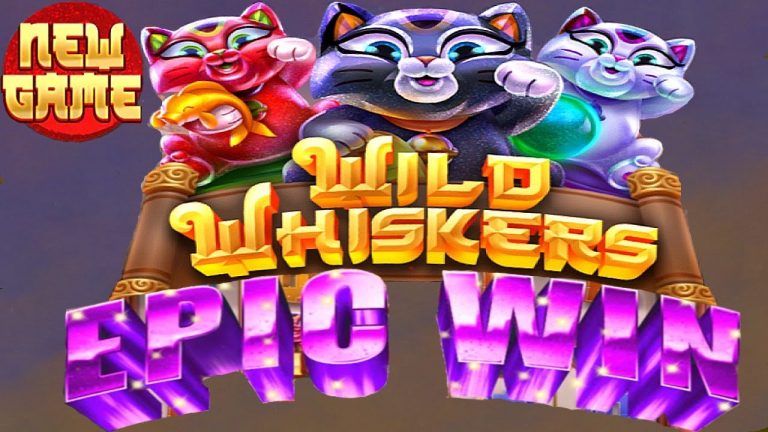 New Game Wild Whiskers 40 SPIN BONUS EPIC WIN Chumba Casino