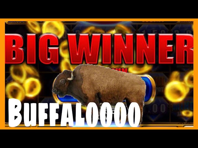 Stampede Fury pays off! | Chumba Casino