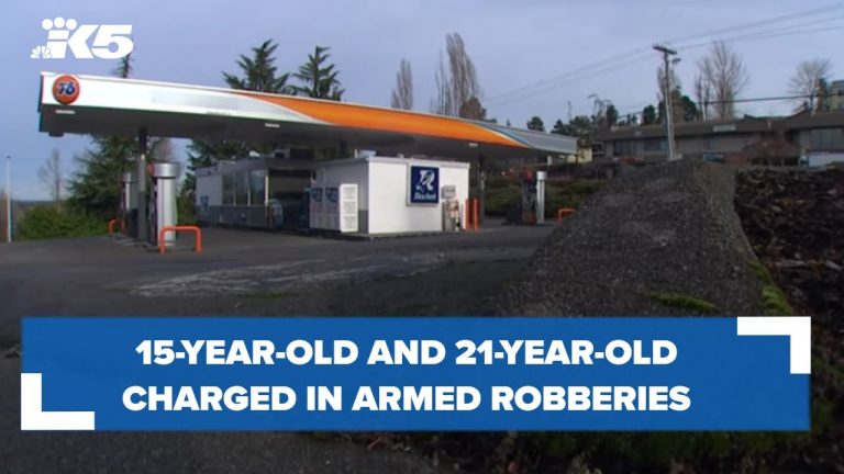 15-year-old and 21-year-old charged in armed robberies