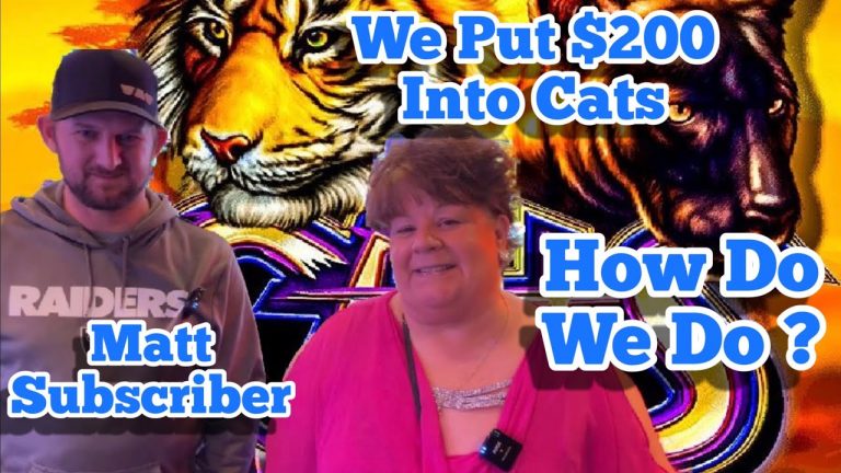 Cats Slot Machine Las Vegas with A Subscriber