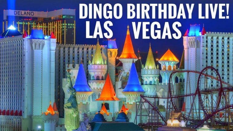 Dingo Birthday Joust-A-Bout LIVE LAS VEGAS right NOW Livestream #irl #vegas #lasvegas