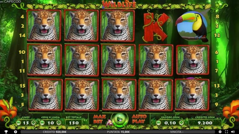 Slot BAR Wild Life Online 2023 Macchinette Italia