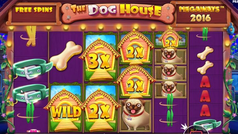 THE DOG HOUSE MEGAWAYS BONUS BUY – BIG WIN with DOG LEASHES BIG MULTIPLIER CASINO SLOT ONLINE