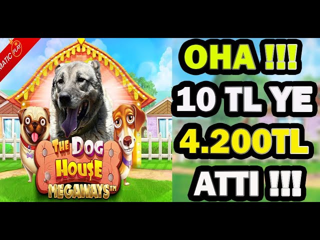 The Dog House l 2Dakikada Tam 420x Koyduk !!! #doghouse #slot #casino