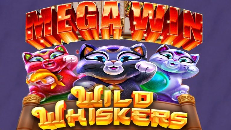 Wild Whiskers NON-STOP BONUS MEGA WIN Chumba Casino