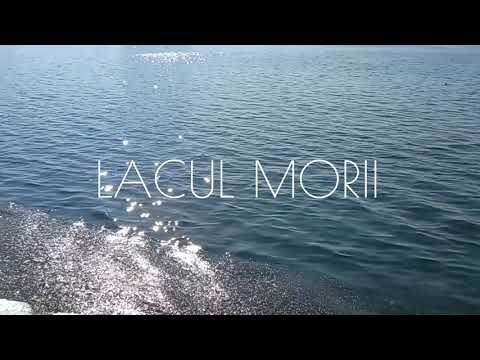 Lacul Morii – Bucuresti – 2023