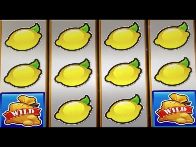 Live play on Money bag (Mod Elektronik) slot machine with FIRST SPIN FULL SCREEN line hit