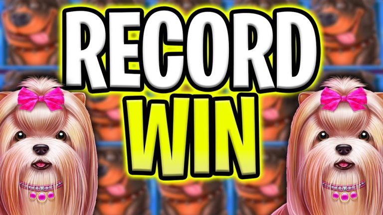 MY BIGGEST RECORD WIN EVER FOR THE DOG HOUSE MEGAWAYS SLOT OMG MUST SEE