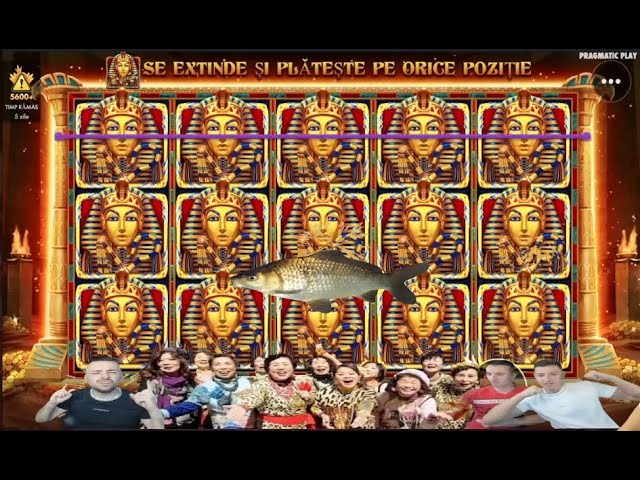 PANOU DE FARAONI SI 4 BARBATI IN SPECIALA LA BOOK OF TUT!! #aparate #pacanele #slots #live