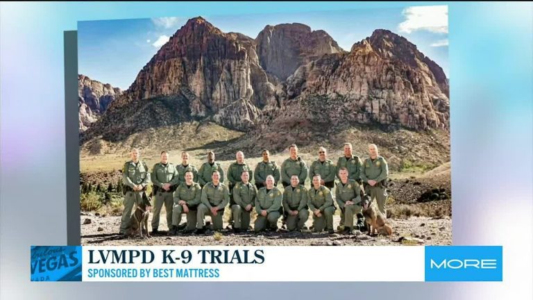 LVMPD K-9 trials