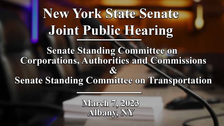 New York State Senate Joint Public Hearing – 03/03/23