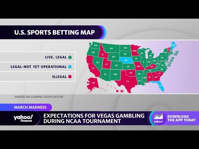 Sports betting: ‘2024 is going to be enormous for us,’ BetMGM CEO says